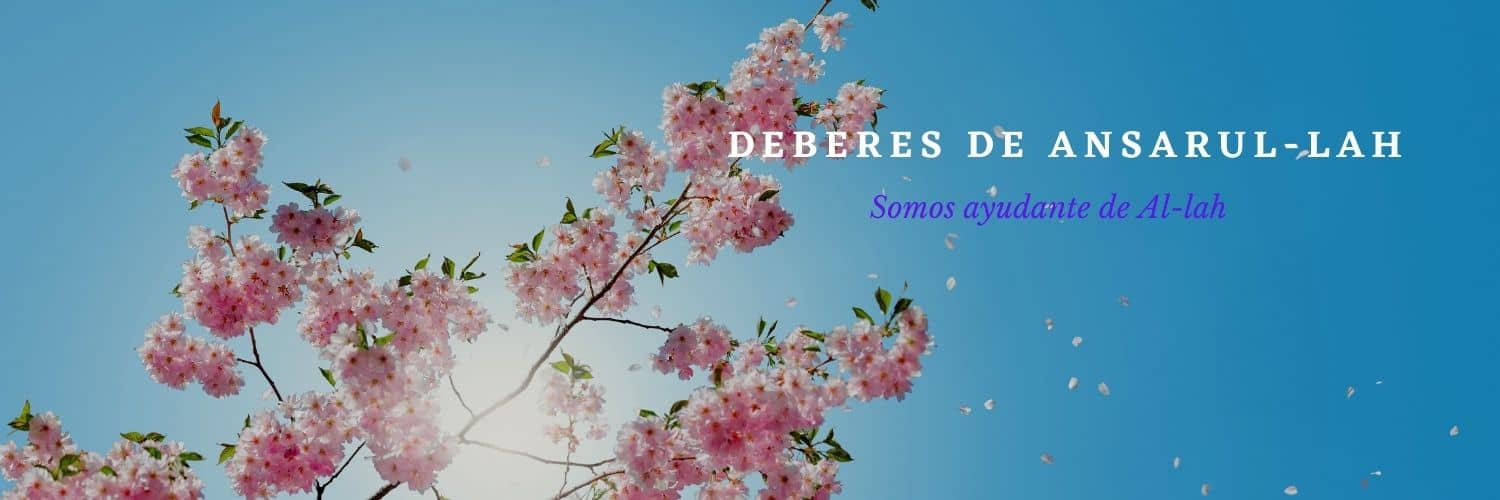 Deberes de Ansarul-lah