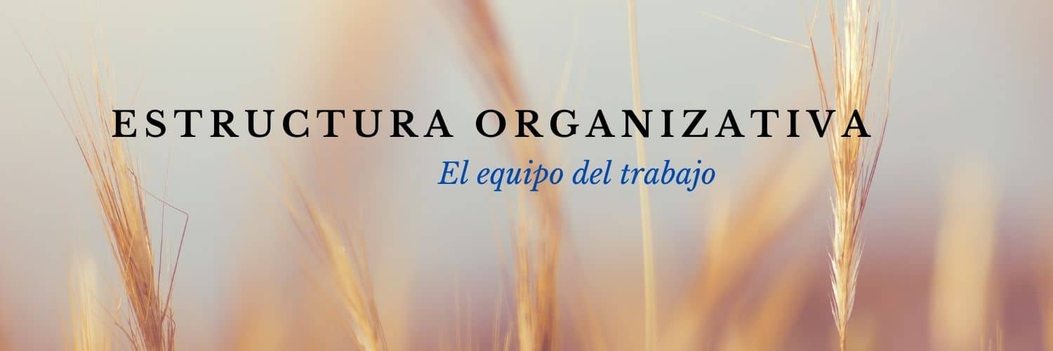 Estructura organizativa